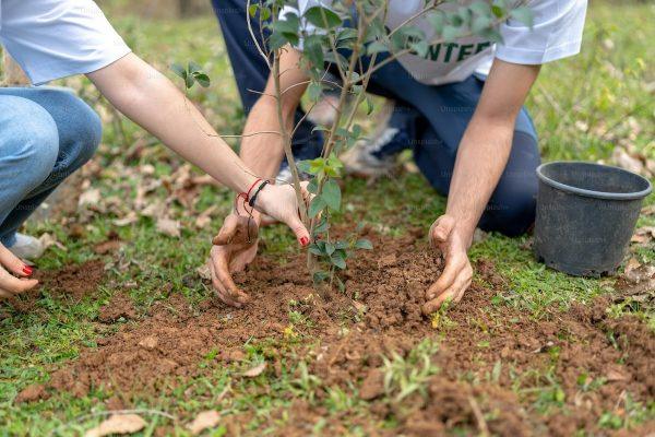 sustainability
